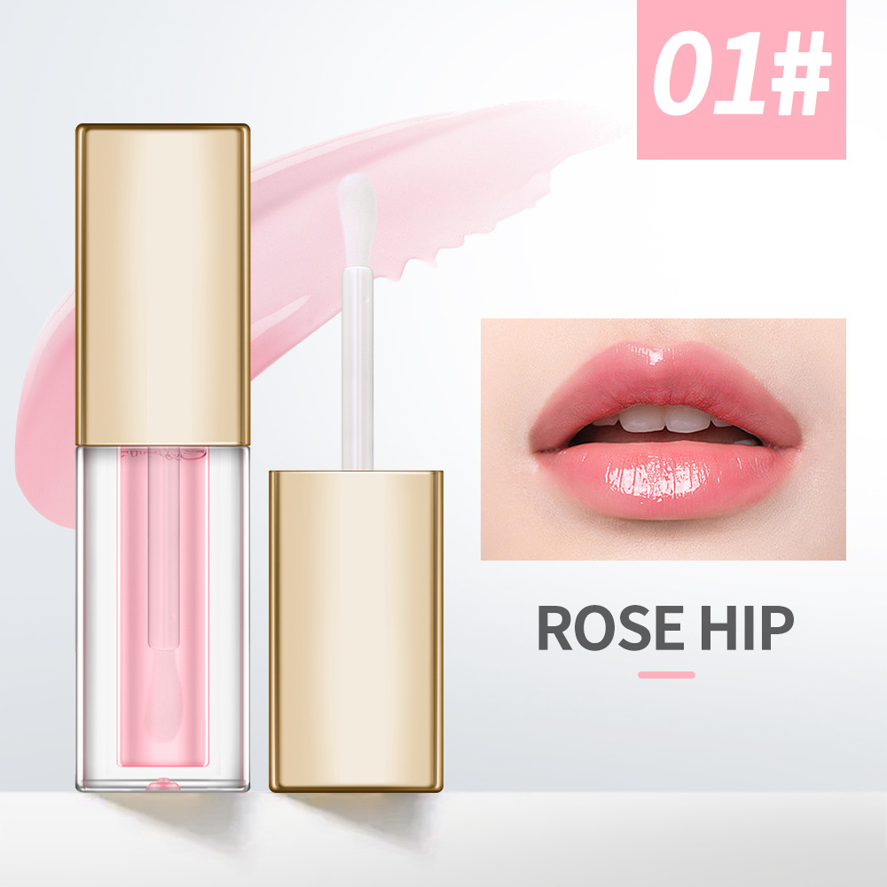 custom gold cap hydrating lip oil – private label plumping lip gloss wholesale custom gold cap hydrating lip oil – private label plumping lip gloss wholesale