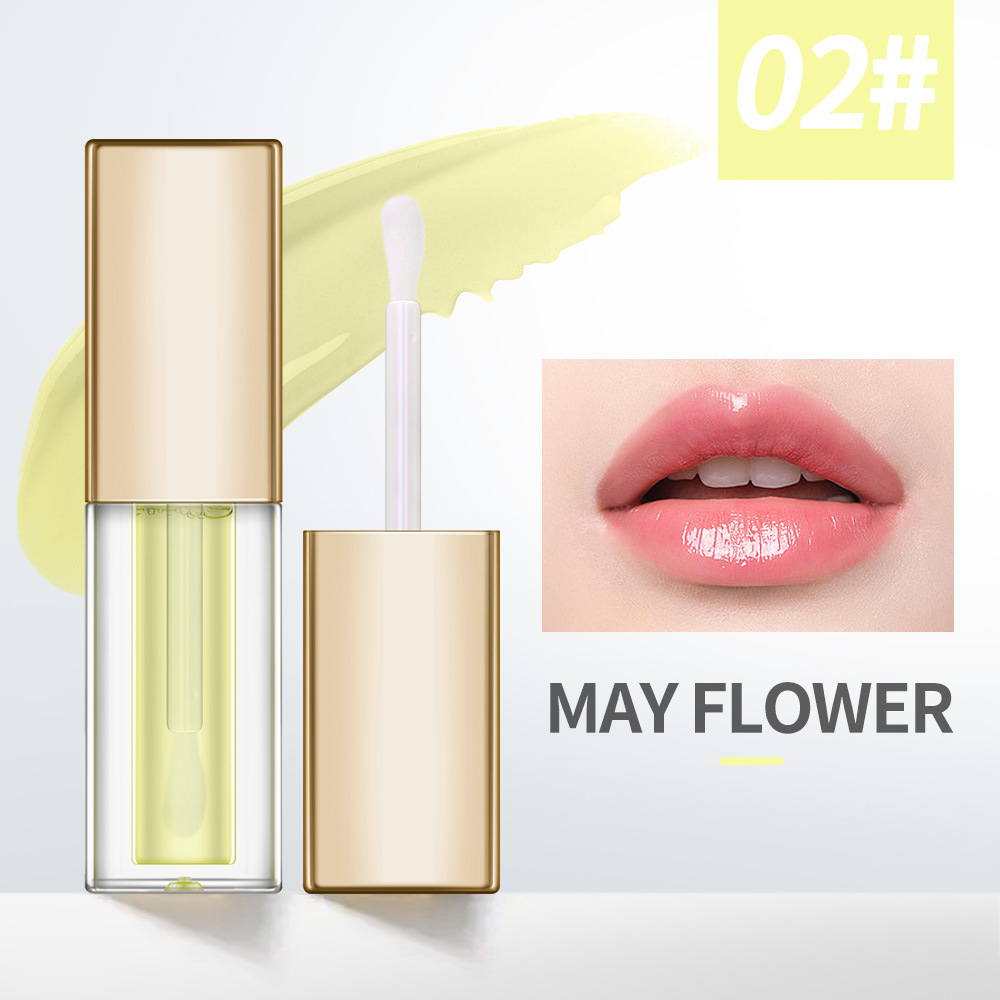 custom gold cap hydrating lip oil – private label plumping lip gloss wholesale custom gold cap hydrating lip oil – private label plumping lip gloss wholesale