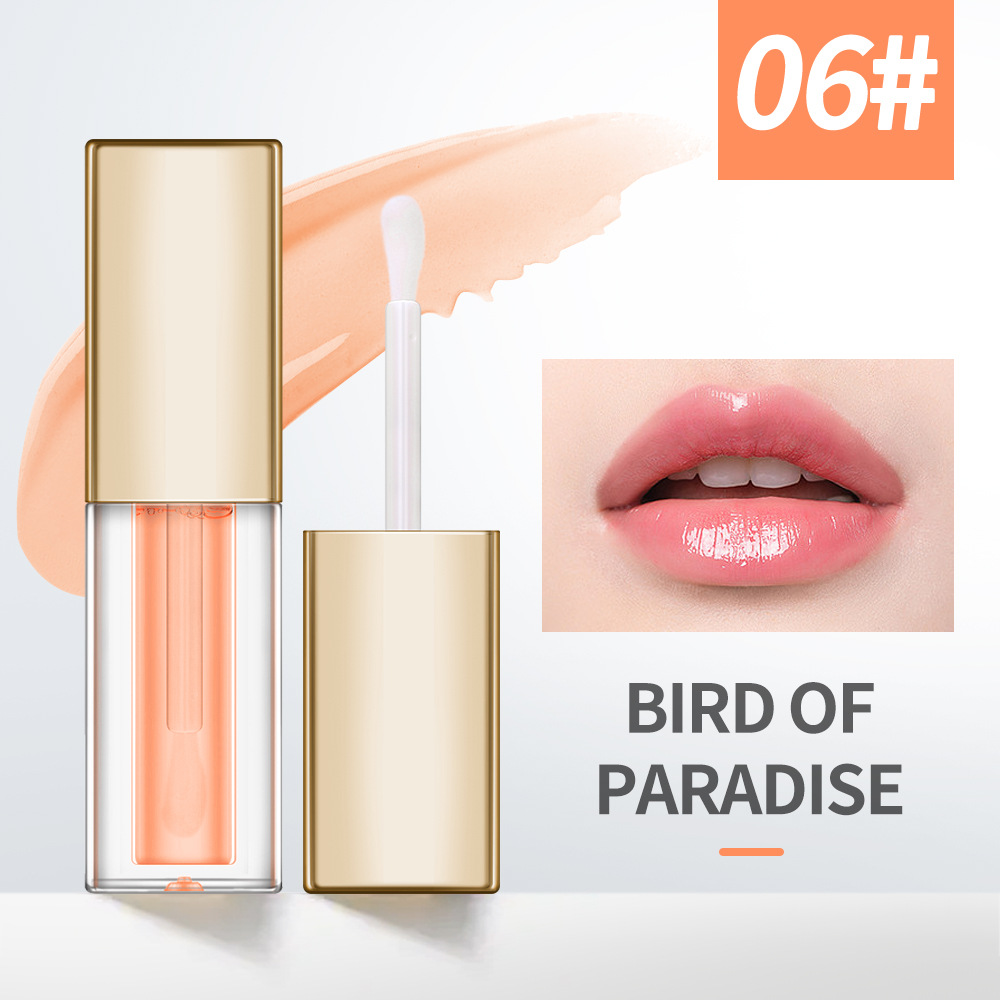 custom gold cap hydrating lip oil – private label plumping lip gloss wholesale custom gold cap hydrating lip oil – private label plumping lip gloss wholesale